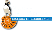 logo Musée de l'Amiral