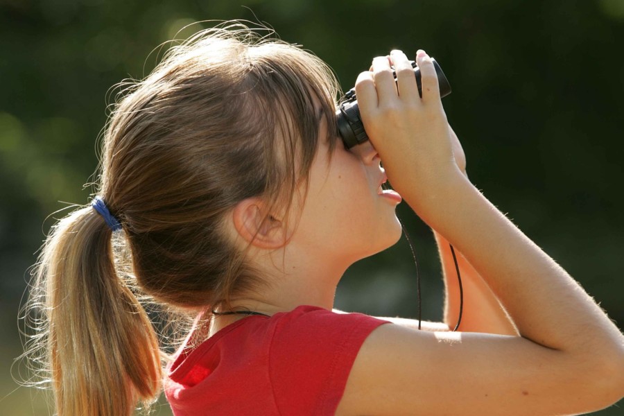 observation-oiseaux